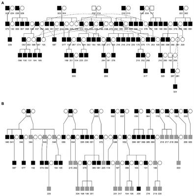 Like Father Like Son: Cultural and Genetic Contributions to Song Inheritance in an Estrildid Finch